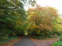 Which lane Wallpaper