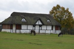 Cricket Pavilion Wallpaper