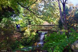 Minterne House and Gardens Wallpaper