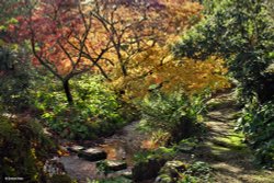 Minterne House and Gardens Wallpaper