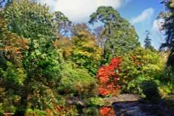 Minterne House and Gardens Wallpaper