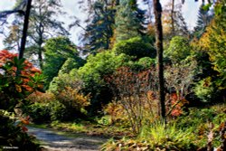 Minterne House and Gardens