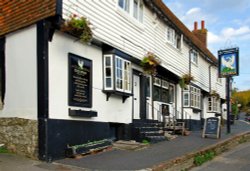 The Swan