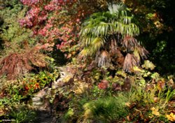 Minterne House and gardens Wallpaper