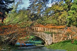 Minterne House and Gardens Wallpaper