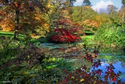 Minterne House and Gardens Wallpaper