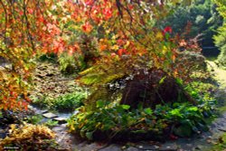 Minterne House and Gardens Wallpaper