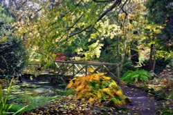 Minterne House and Gardens Wallpaper