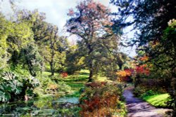 Minterne House and Gardens Wallpaper