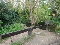 Ducking Stool Wallpaper