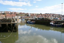 Whitby Harbour Wallpaper
