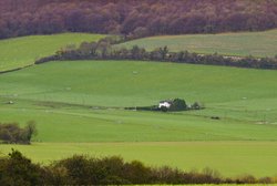 West Meon, Hampshire Wallpaper