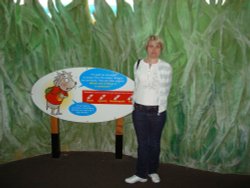 MeadowVole Maze Wallpaper