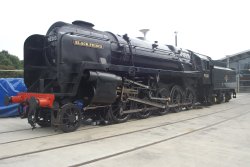 Black Prince Wallpaper