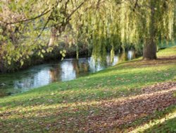 The River