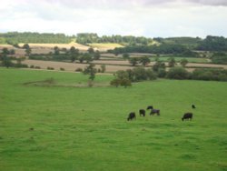 Farmland, Castle Howard Estate Wallpaper
