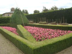 Rose Garden Wallpaper