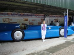 Bluebird at Holker Hall Wallpaper