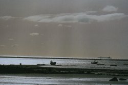 Life goes on, somewhere Wallpaper