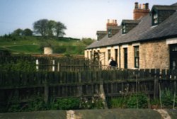 Pitman's Cottages Wallpaper