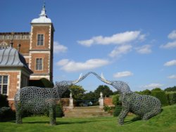 East Garden Wallpaper