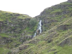 The top part of Moss Force Wallpaper