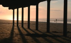 Dog walk at Sunset Wallpaper