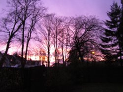 Purple Sky