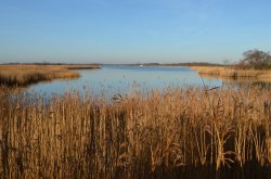 Hickling Broad Wallpaper