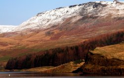 Dovestones