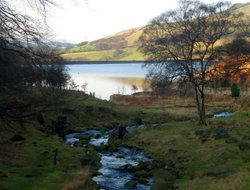 Greenfields at Greenfield