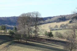 Stonor Park Wallpaper