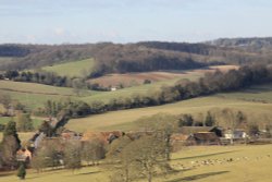 Stonor Deer Park Wallpaper