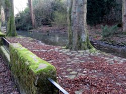 Letham Glen Wallpaper