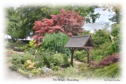 The Dingle Shrewsbury Wallpaper