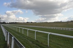 Epsom Races Wallpaper