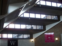 The Ashley Centre- Ceiling Scene Wallpaper