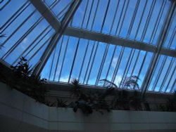 Epsom Ashley Centre- Roof Garden Wallpaper