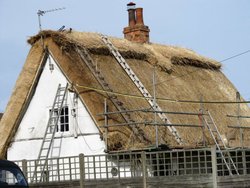 Riseley thatched cottage Wallpaper