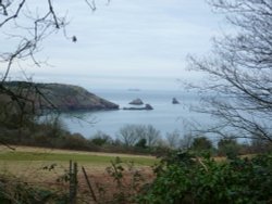 St Mary's Bay, Brixham. Wallpaper