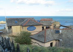 St Andrews Aquarium Wallpaper