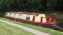 Red Crest at a Festival Wallpaper