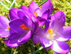 Last look before Winter returns Wallpaper