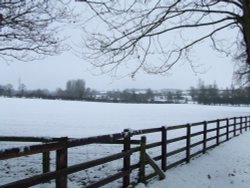 Fields of White Wallpaper