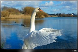 Sixfields - Flood Storage Reservoir Wallpaper