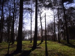 Queenswood Country Park (NT)