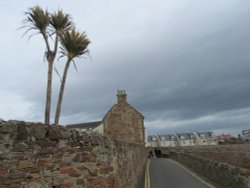 The Terrace Wallpaper