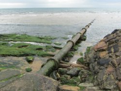 Waste Pipe Wallpaper