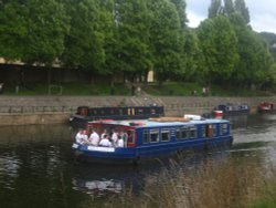 Silver Salmon Wallpaper