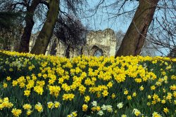 Museum Gardens in York